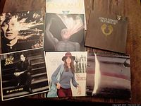 Photo showing all seven vinyl LP albums laid out on a wooden surface featuring visible artwork and titles for identification.