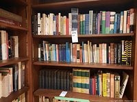 Three wooden shelves filled with books of various sizes on literature, classics, essays, and poetry, showing spines with titles and authors visible.