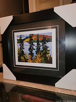 Full view of the professionally framed Lawren Harris print showing the black ribbed frame with protective corner covers and visible matting and signature on the print.