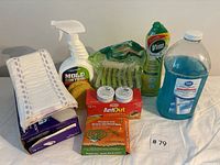 Photo of various house cleaning supplies grouped together on a white surface including sponges, cleaning sprays, dish soap, pest repellent and poison, and blue liquid cleaner