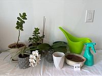 Wide view of multiple small plants including an orchid, jade plants, spider plant, planters, a large green watering can, and a spray bottle on a white surface.