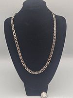 Front view of the silver chain necklace on a black display bust showing the full length and link pattern.