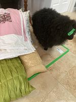 Photo showing Lambert & Co black sheep stuffed animal, quilt partially visible, and decorative pillows on tiled floor