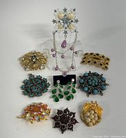 Full view of nine pieces of costume jewelry including six brooches, two clips, and one pair of earrings in varied designs and colors.