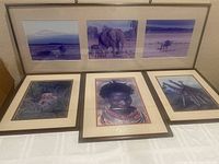 Overall view of the four framed photographic displays of African wildlife and tribal culture showing three smaller frames and one large three-panel piece