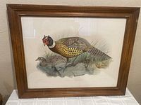 Framed antique lithograph depicting male and female pheasants in natural setting, wood frame with wear visible