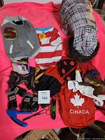 All items in the lot laid out on a pink blanket