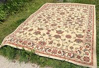 Full view of large beige Persian style throw rug laid flat outside on grass and concrete showing overall pattern and condition