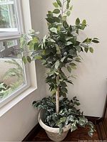 Front view of the tall artificial tree with green leaves in a beige pot with faux ivy, positioned near a window.