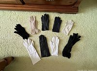 Top view of all nine pairs of gloves, spread out to show styles and colors including black, white, and beige.
