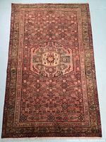 Full front view of the rug showing overall design and coloration