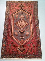 Full view of rug laid flat, showing overall design and color scheme