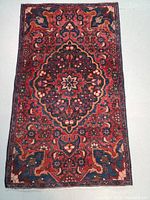 Full view of rug laid flat on light floor