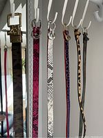 Five belts hanging on hooks showing front textured and patterned sides including brown Club Monaco belt, pink snakeskin Club Monaco, neutral snakeskin Club Monaco, purple Michael Kors, leopard print, and dark brown belt