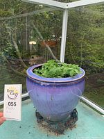 Large blue ceramic planter outdoors, showing overall condition and presence of glass surface base.