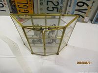 Angled front view of the glass and brass-tone metal display case containing two panda figurines inside on a white surface with license plates in the background.