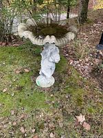Wide angle of the concrete bird bath standing outdoors on grassy ground with moss and leaves.