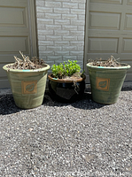 Photo showing all three planters grouped side by side outside front of garage: two large green planters with leaf motif, one smaller black glazed planter with plant inside