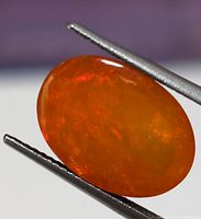 Close-up image of an oval polished orange opal held by tweezers showing internal color flashes and smooth surface.