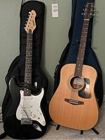 Peavey electric and Blueridge acoustic side by side with gig bags