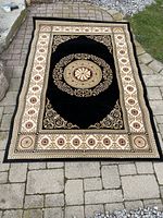 Full view of rectangular area rug laid out on patio. Black background with beige and red floral medallion design and ornate borders.