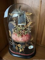 Front view of globe under glass dome on black wood base showing red silk cushion and gilt decorations