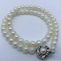 Full strand coiled to show pearl size and clasp detail