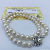 Strand coiled with certificate card in background