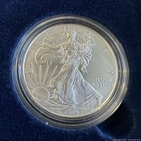 Close-up photo of the 2014 American Eagle one ounce silver coin in a protective clear plastic capsule. Shows the obverse side with Walking Liberty design, date 2014, and inscriptions including 'LIBERTY' and 'IN GOD WE TRUST'.