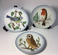 Three hand painted bird plates arranged on stands, showing Robin, Blue Titmouse, and Barn Owl designs.