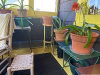 Various plant stands arranged on a porch area showing metal and plastic materials with visible weathering and plants on some stands
