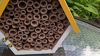 Front view showing hexagonal bee house filled with hollow nesting tubes for bees