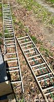 Photo showing both aluminum extension ladders on the ground, with ropes securing the extensions.