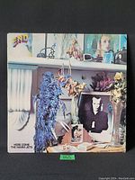 Front cover of Eno - Here Come The Warm Jets album with artistic still life photo including flowers and framed photos.