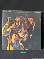 Front cover of Cheap Trick At Budokan LP showing band members on stage singing and playing guitar.