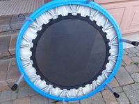 Top view of trampoline showing black jumping mat and exposed metal springs around the perimeter with blue padding covering springs.