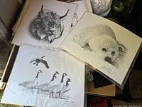 Three wildlife prints showing a lynx, seal pup, and Canada geese stacked together.