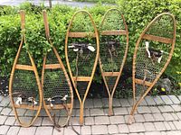 Photo showing all 5 vintage wooden snowshoes leaned against bushes, displaying wooden frames, rawhide lacing, and leather bindings.