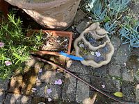 Top-down view of a cream-colored, heavy bird bath basin with scalloped edges, resting on the ground near plants and garden pots.