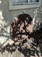 Large rusty metal cutting disc leaning against house wall in sunlight with shadows from above foliage.