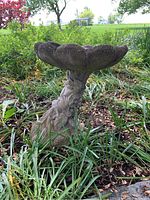 Side angle showing the flower-shaped basin and floral design stem of the cement birdbath placed outdoors amid green plants.