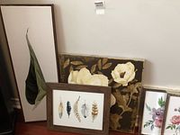 Wide shot of all 5 decorative artworks against a beige wall, showing tall leaf canvas, framed feathers, large floral canvas, and two smaller floral prints.