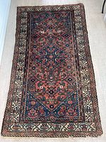 Full view of Persian style area rug laid flat on floor, showing overall design and color scheme.