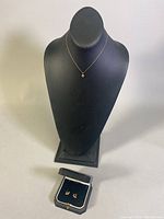 Full view of the 14K gold necklace displayed on bust with 10K gold earrings in box beneath.