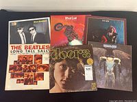 Overview photo showing all six vinyl record album covers laid out on a surface, including The Beatles, Meatloaf, Janis Joplin, The Doors, Eagles, and Blues Brothers albums.