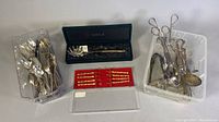 Overview photo showing the Towle spaghetti spoon in box, Ernest Sohn gold plated fork set in red case, assorted cutlery and utensils in plastic trays