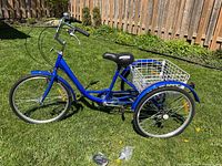 Full side view of blue adult step-through tricycle on grass showing frame, saddle, rear basket