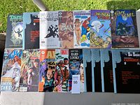 Wide view of 17 comic books displayed on the grass showing various titles and cover art