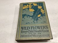 Front cover of 1909 book titled Wild Flowers Every Child Should Know by Frederic William Stack, showing illustrated yellow flowers on green cloth cover with gold and black text