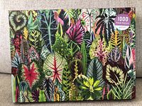 Box of new, sealed 1000 piece puzzle showing colorful house plant leaves artwork, by Davidson.